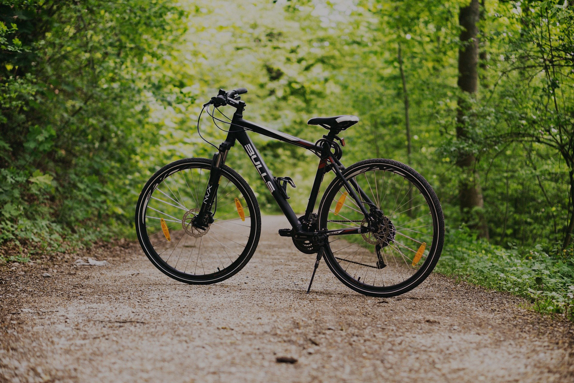 Obrázok bicykla v lese.